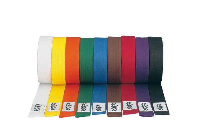 A set of martial arts belts in different colors, representing family members training together at different levels