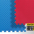 Standard Interlocking Mats (10’ x 10’)