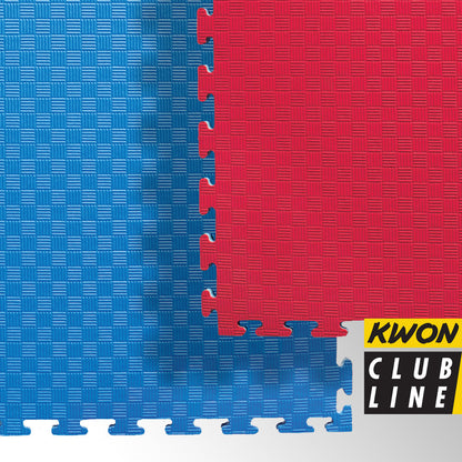 Standard Interlocking Mats (10’ x 10’)