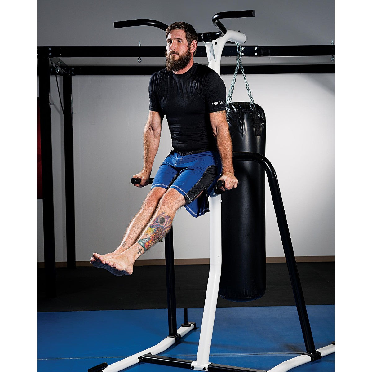 Century Fitness Training Station – Pull-Up, Dip & Heavy Bag Home Gym