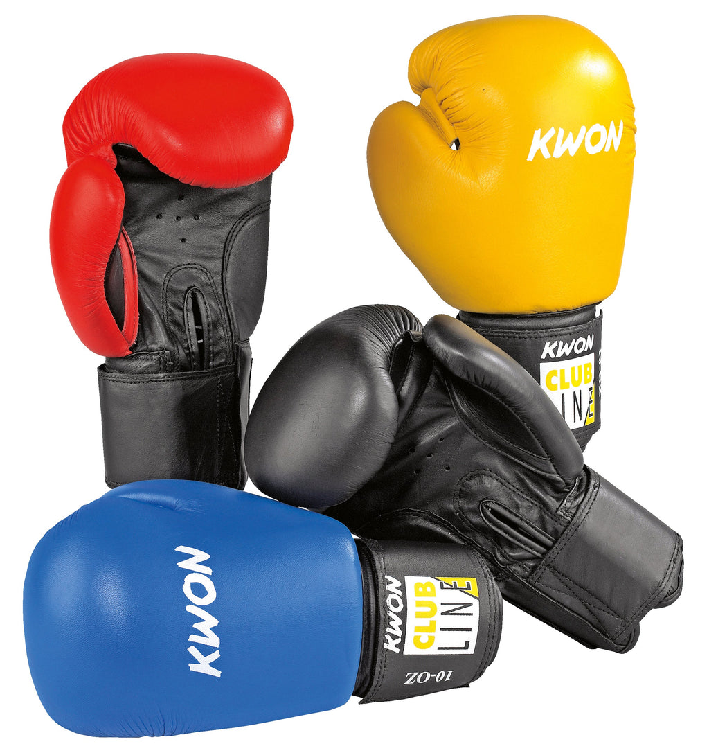 KWON POINTER Boxing Gloves